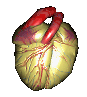coeur