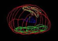 mod�le3D